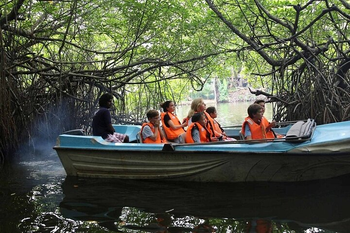Madu Ganga Boat Safari